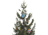 Weihnachtsbaum