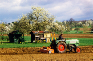 Nellingen Frühling mit Landwirt um 2000